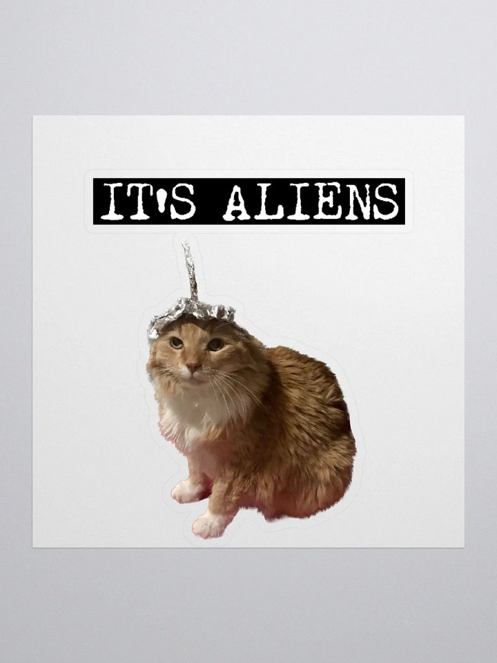 IT'S ALIENS Sticker product image (1)