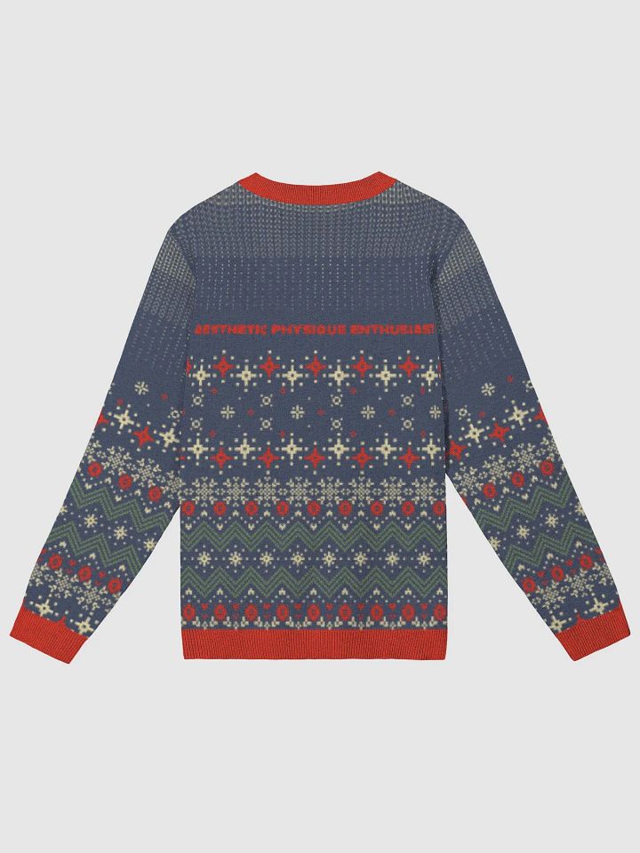 APEvolution Holiday Ugly Sweater [Mens] product image (7)