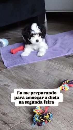 Que susto... Achei que ia mesmo! 😅