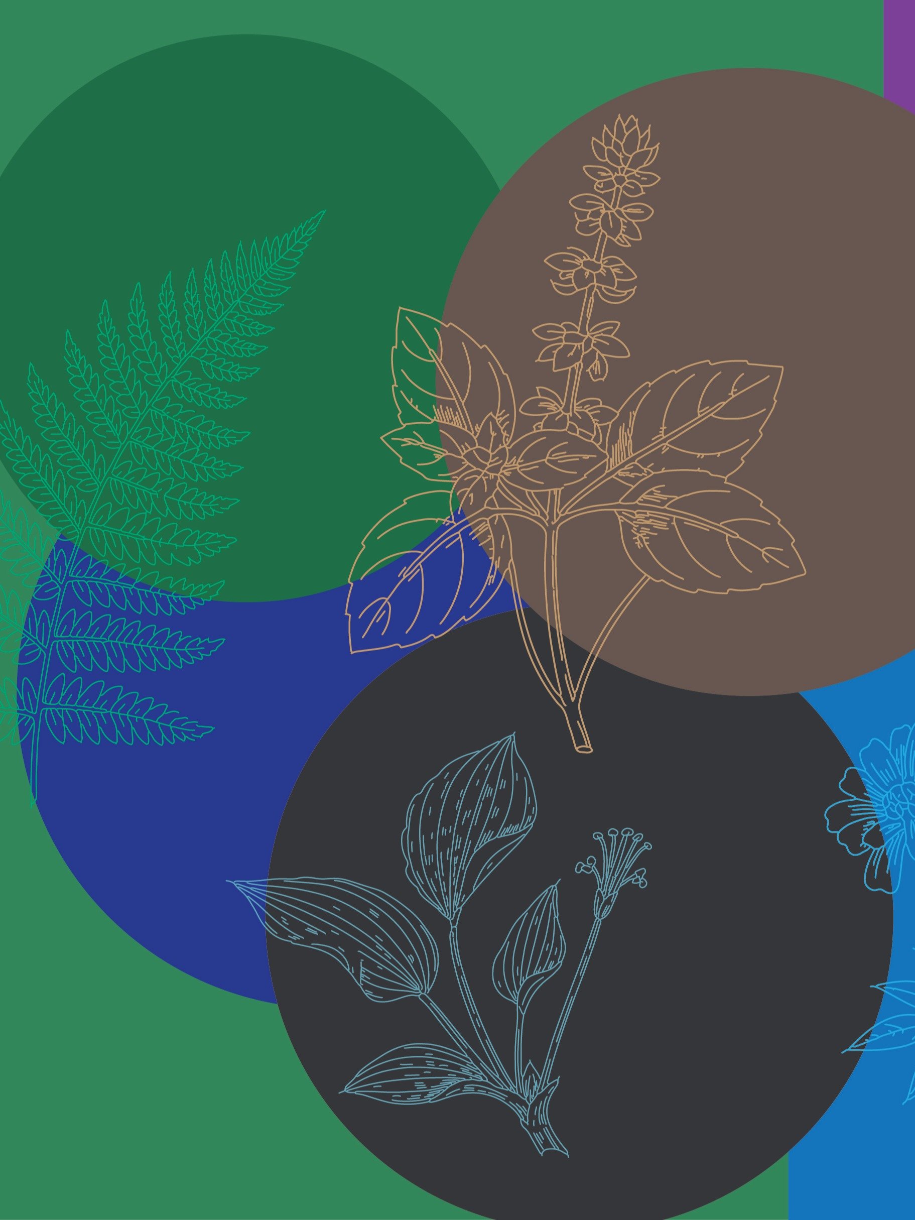 Creativity Pack for Artist Designers Teachers product image (7)