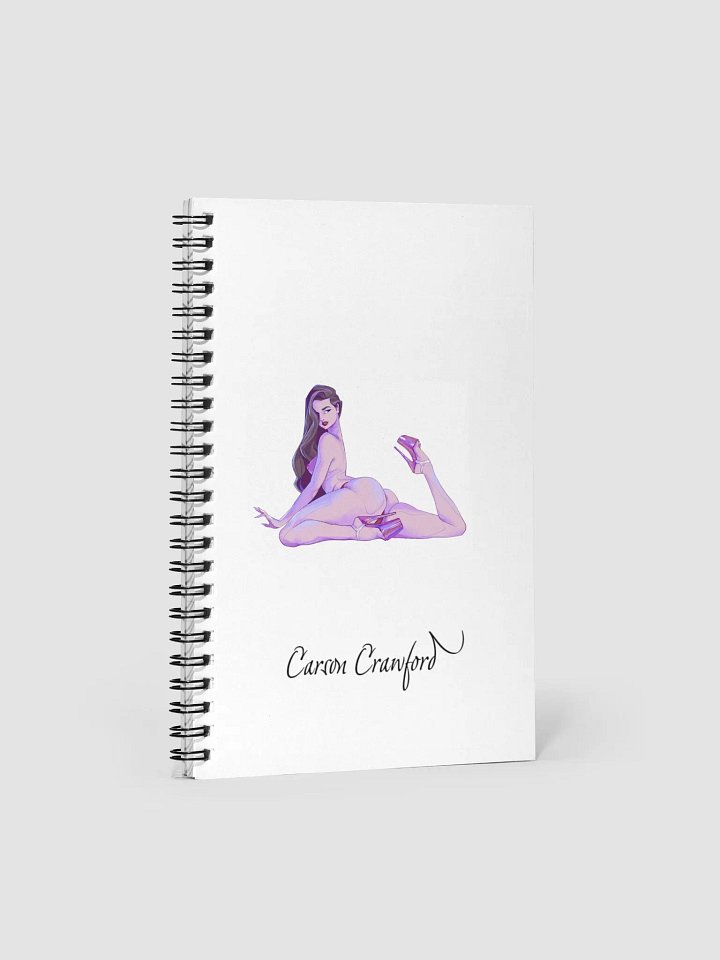 Write with Carson product image (1)