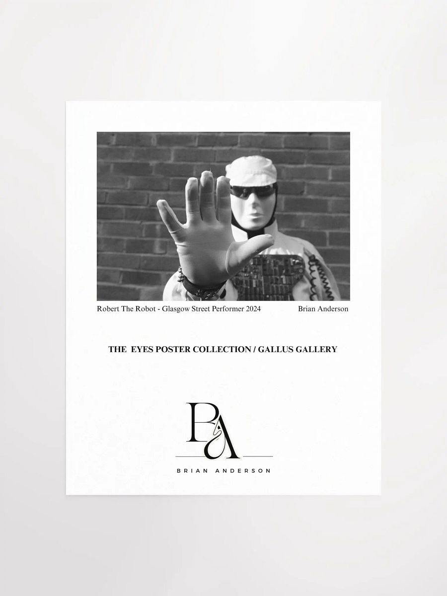 Brian Anderson Collection Robert The Robot product image (1)