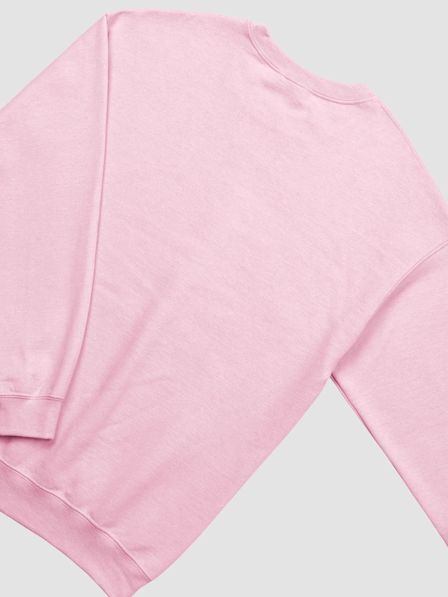 Bookish Goose Sweatshirt product image (29)