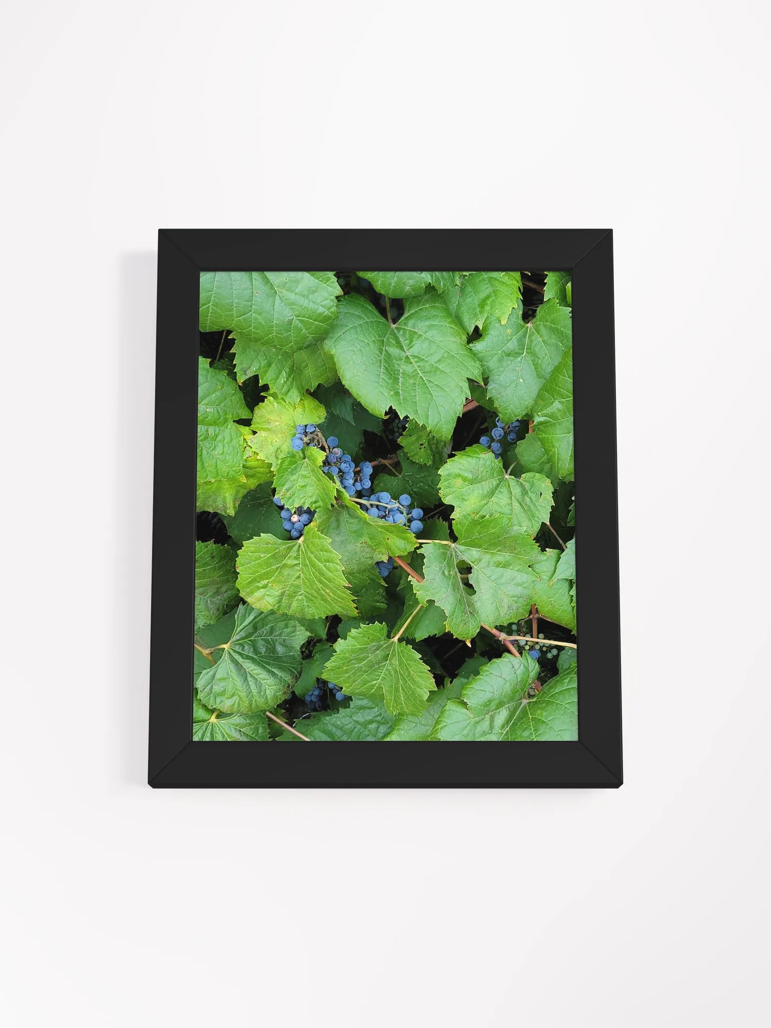 Mystic Grape Wonderland Framed Poster product image (1)