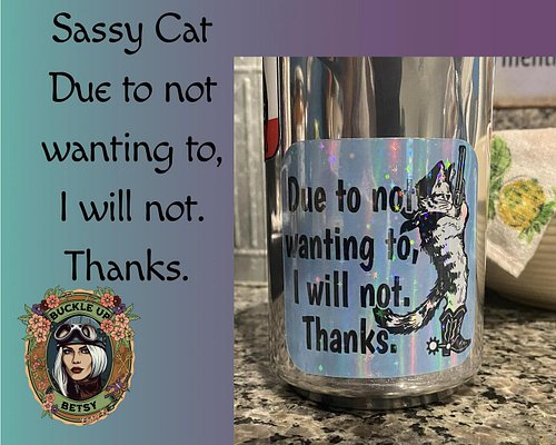 😻Sassy Cat says check out the new sticker 🙀
.
#sassycat #thehelliwont #dontwanna
