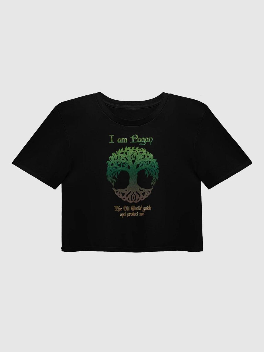 Totem Spirit Women's Crop Top product image (4)