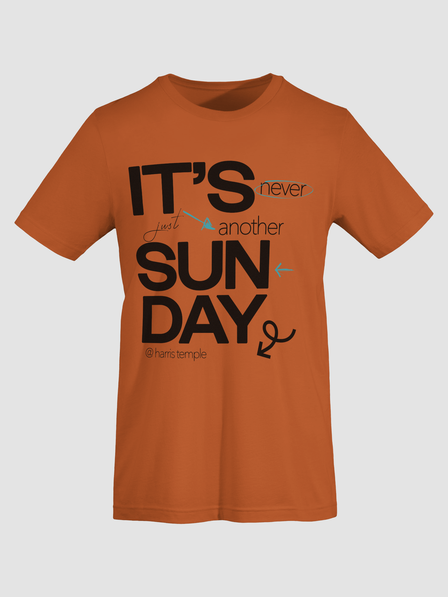 Elevate Your Style with Temple Merch Highlight T-Shirt product image (25)