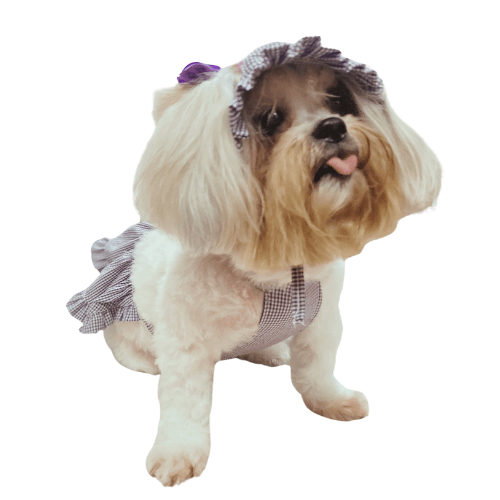Conjuntinho Picnic Fashion - Modelagem Pet PDF product image (3)
