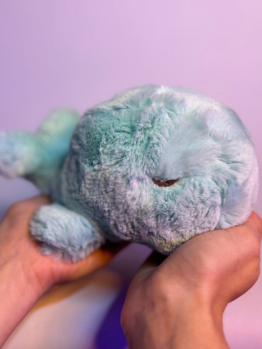 Sleepy Whale product image (1)