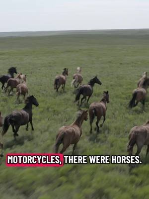 From the open plains to the open road — the legacy lives on. 🐎🏍️🔥 #ThrottleAndIron #FromHorsesToMotorcycles #BikerLife #harlydavidson #IndianMotorcycle 