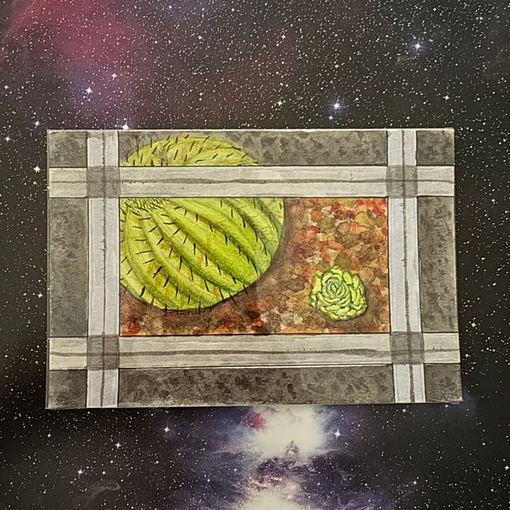 Cactus and Succulent Watercolor Postcard product image (1)