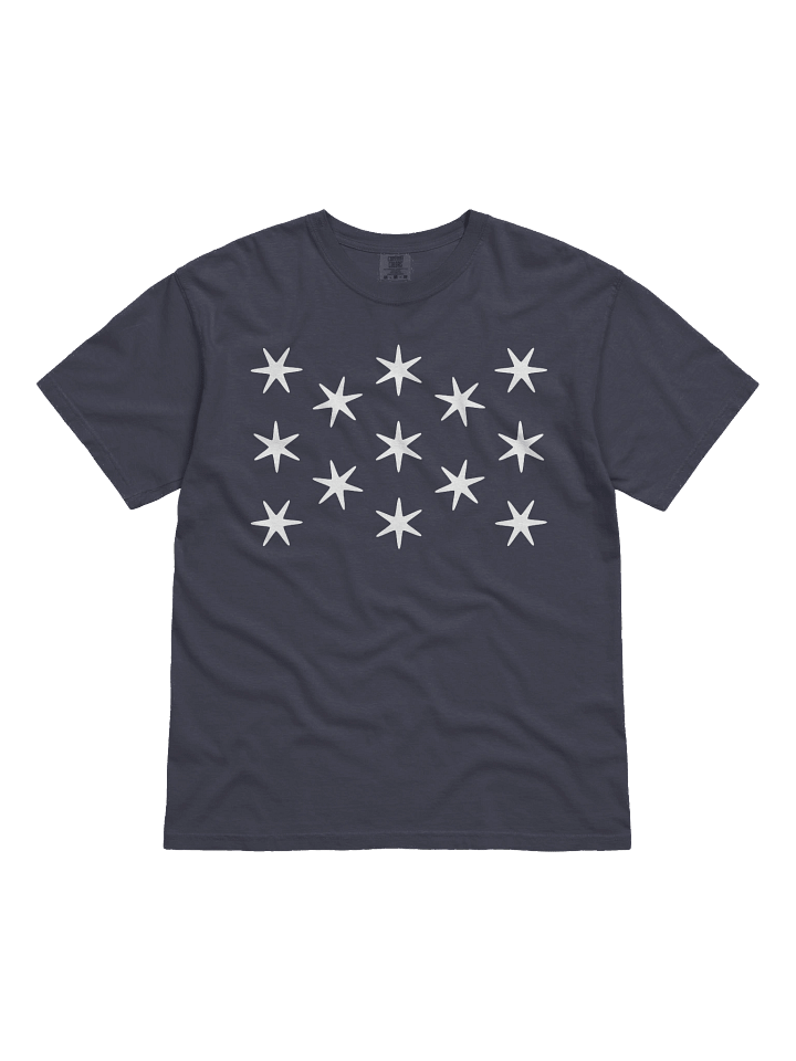 Washington Standard T-shirt product image (1)