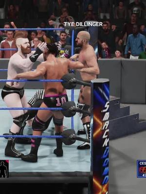 Don't remember which #wwe2k game this was from, but this was a fun glitch.   Wrong team gets a victory cut scene, also aren't the champions, and they are both holding the WWE Title?  #glitches http://linktr.ee/GlensWorldStuff