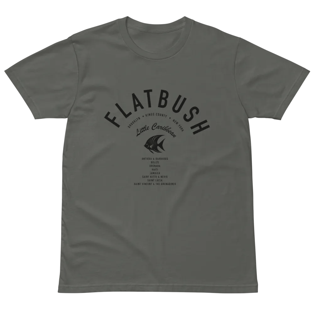 Flatbush Little Caribbean Gray Tee Sadie product image (2)