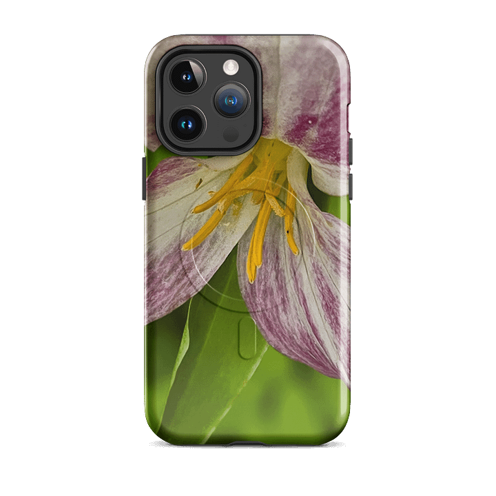 Burst of Color MagSafe® Tough Case product image (20)