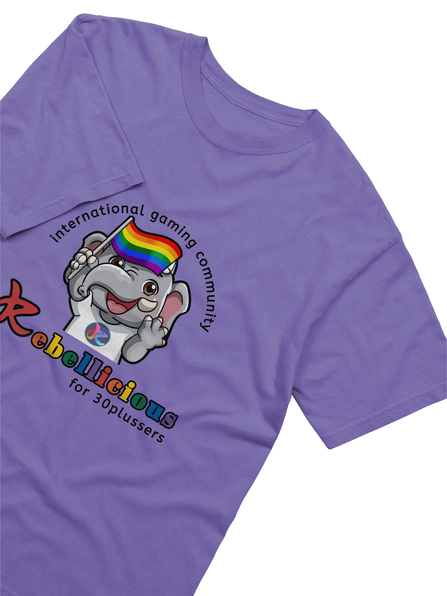 Comfort Colors Pride T-shirt product image (7)