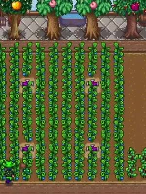 Stardew Valley Crop ASMR with Ancient Fruit  #gaming #asmr #TheRealPussinBoots #stardewvalley 