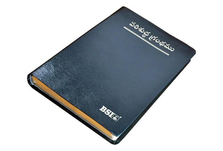 Telugu Bible Large Print product image (1)