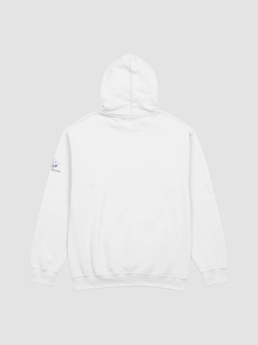 Beverly Hills Athletics Hoodie product image (42)