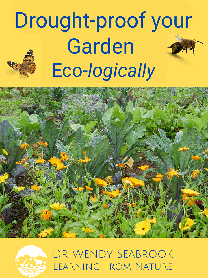 Eco-logical Techniques to Drought-Proof Gardens and Community Spaces product image (1)