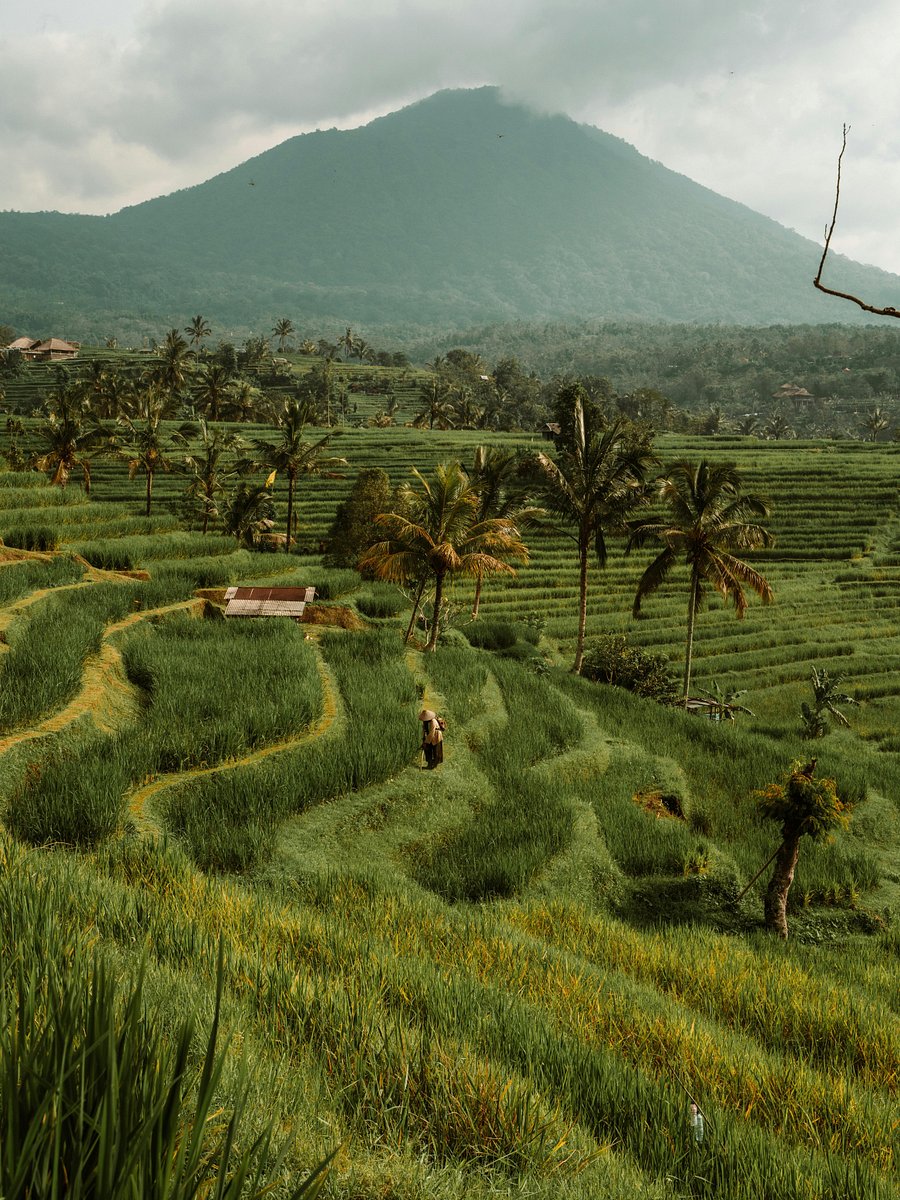 How to spend 48 hours in Bali product image (1)