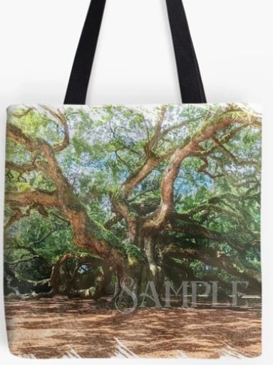 The Angel Oak, Charleston South Carolina Digital Watercolor Image Download product image (4)