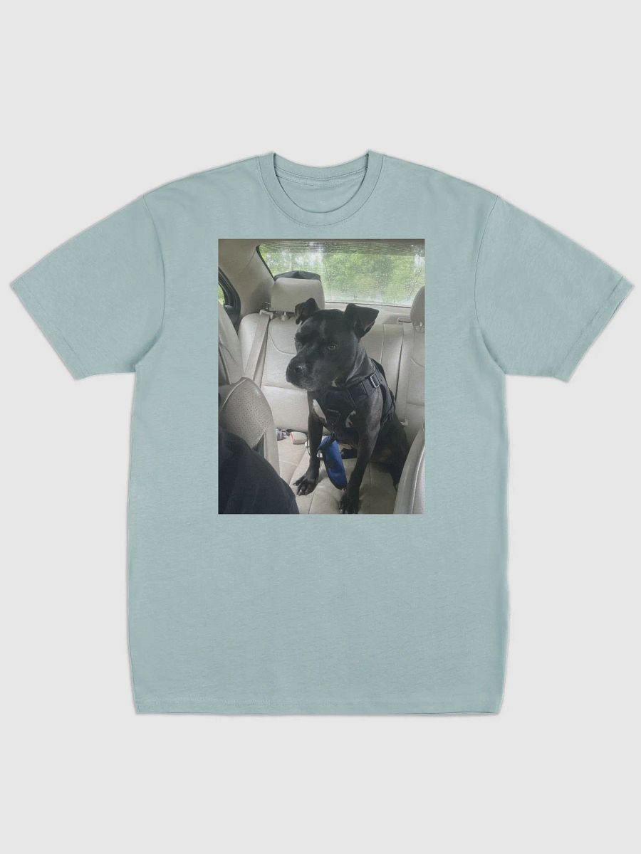 tee product image (3)