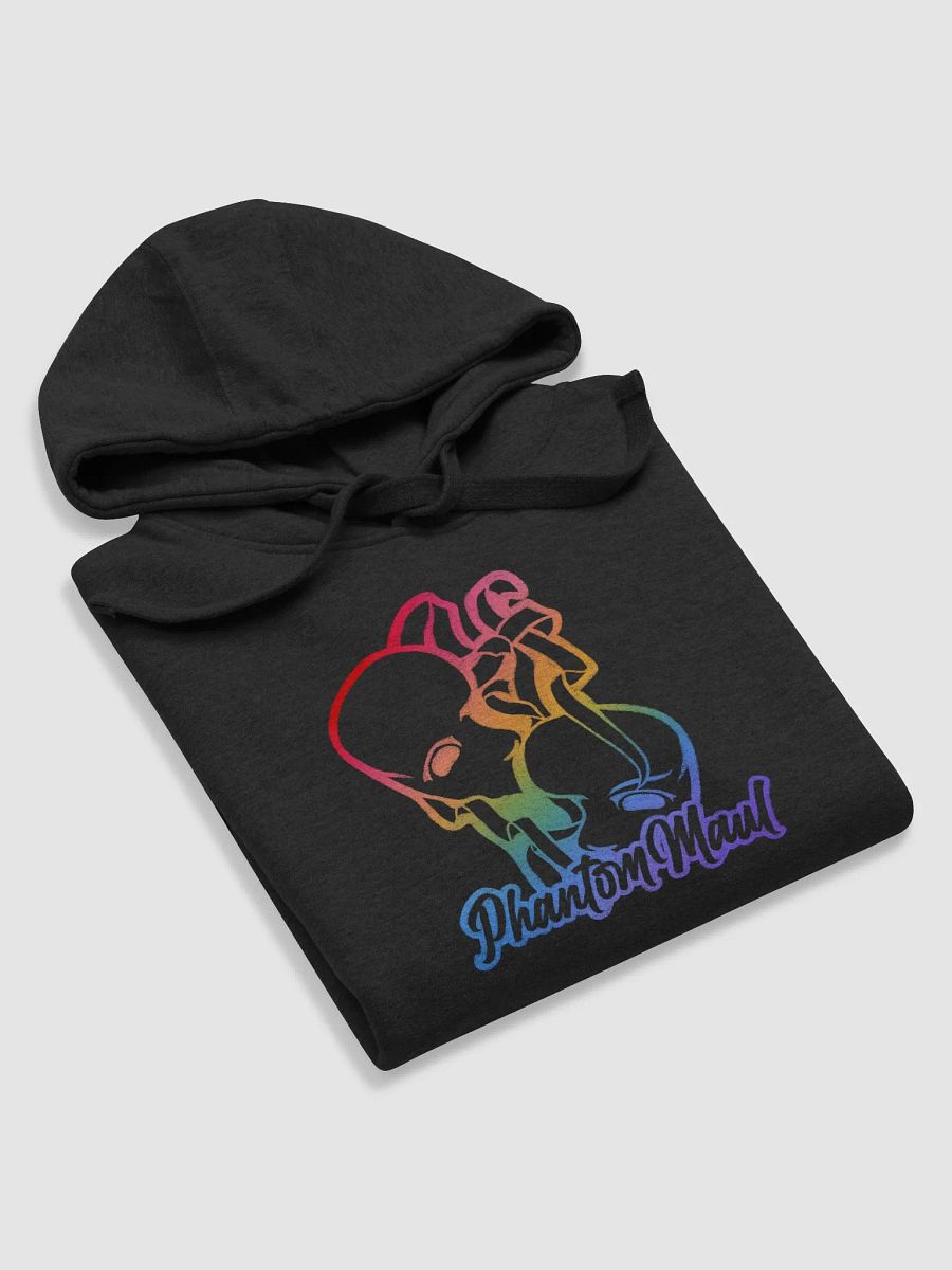Rainbow Big Logo Premium Hoodie product image (41)