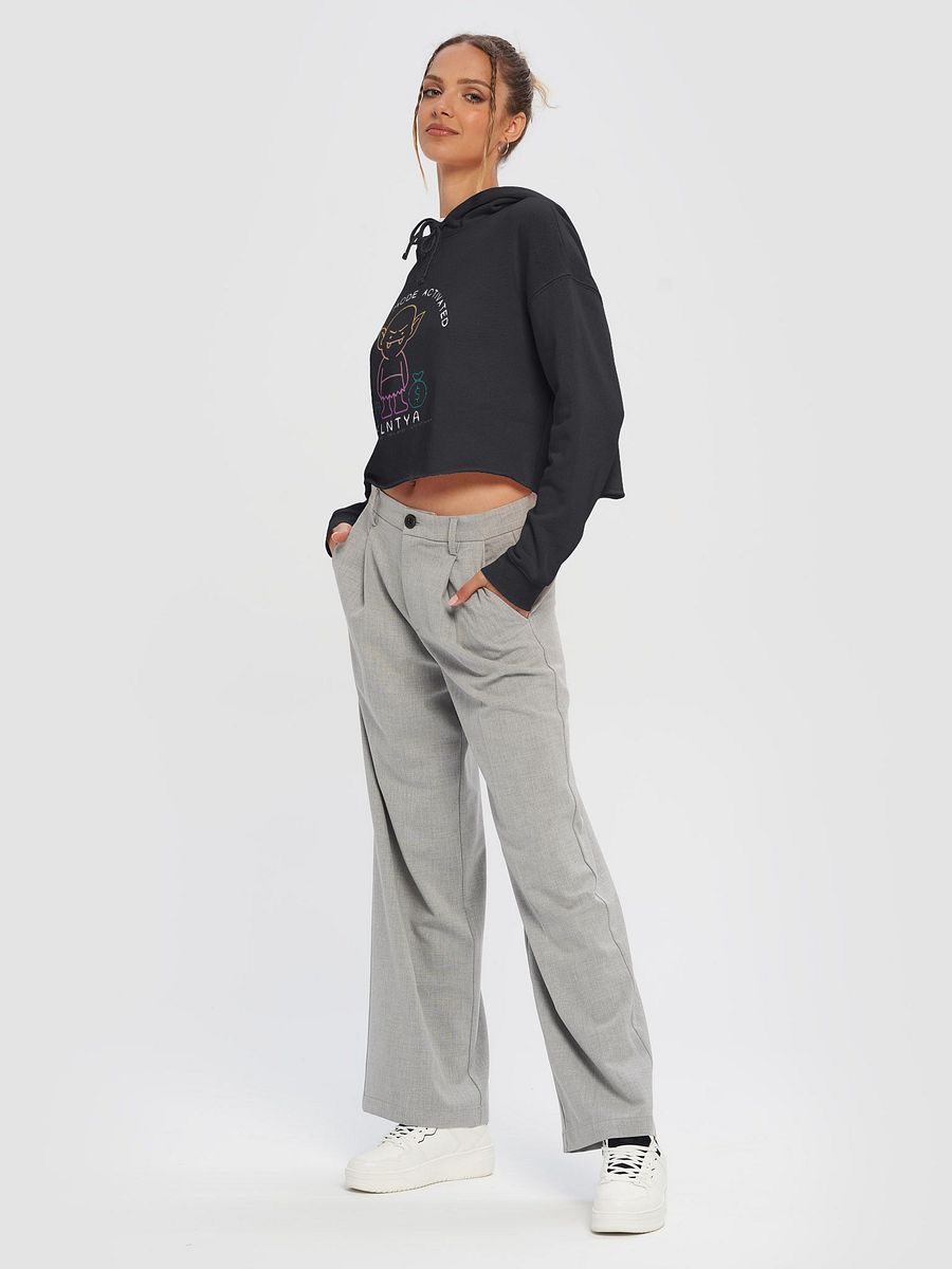 Goblin Cropped Hoodie product image (19)
