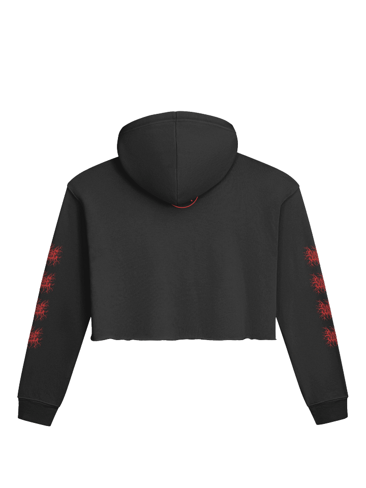 Sunfyre Red Metal Logo Crop Hoodie product image (2)