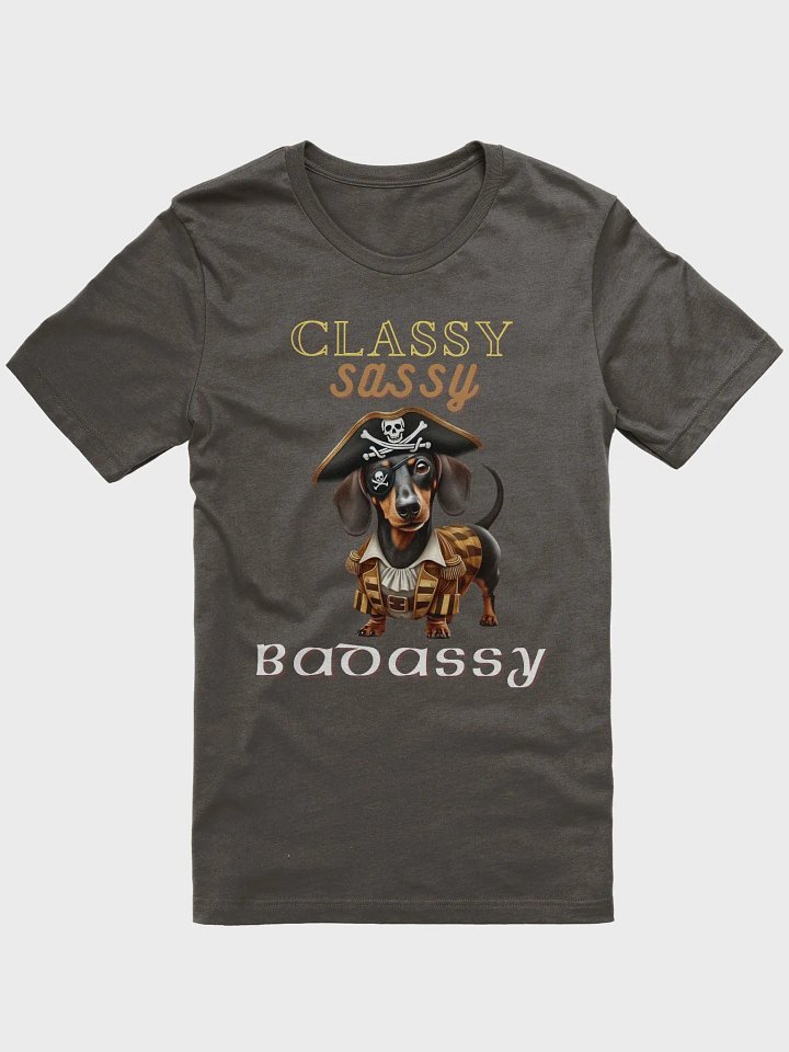Classy, Sassy, Badassy Pirate T-Shirt product image (1)