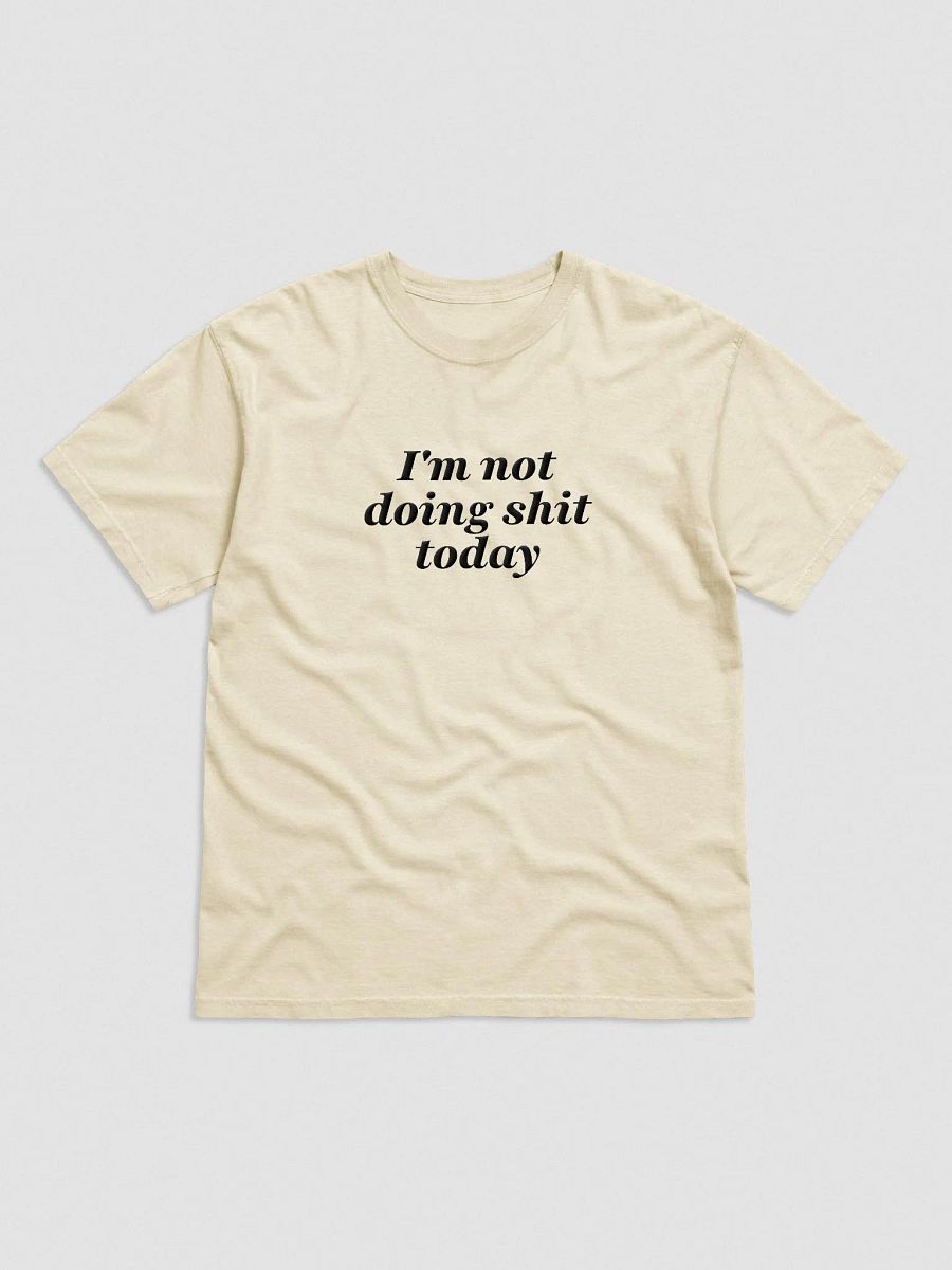 'Not Doing Shit' Embroidered Tee product image (1)