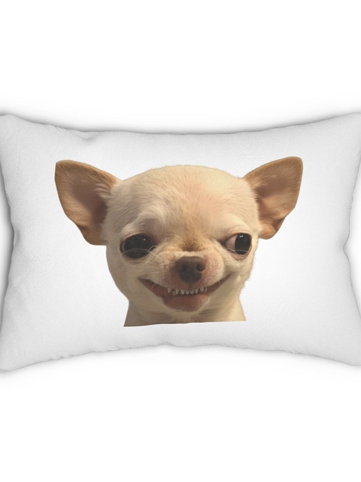 Evil Dog Pillow product image (10)