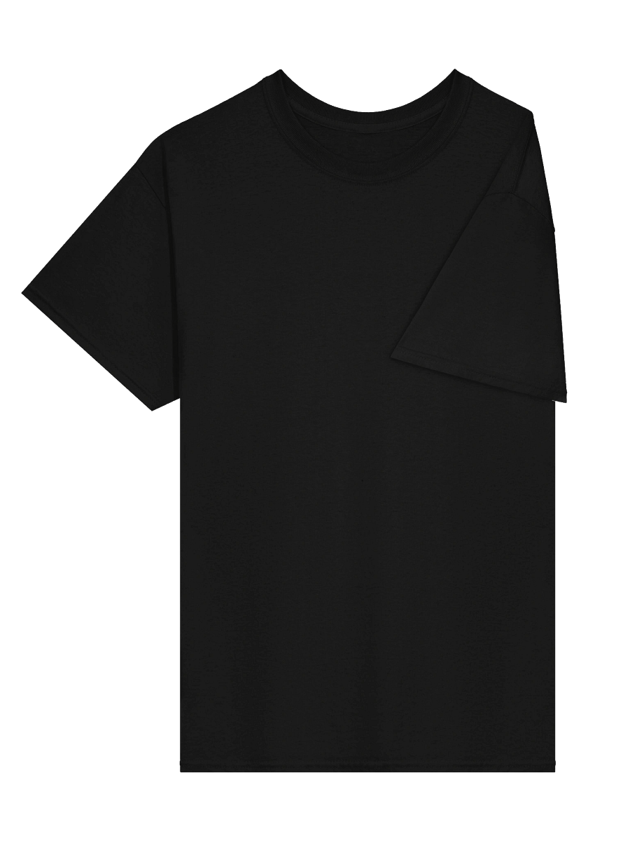 Mission Field Band Tee product image (3)