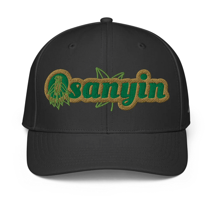 Osanyin Adidas Performance Cap product image (1)