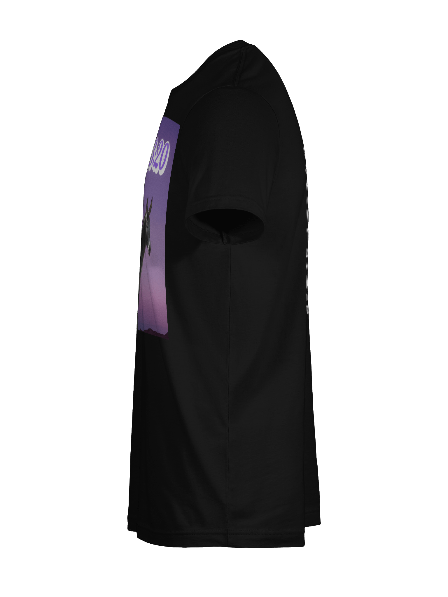 Ezekiel 23:20 Tee Shirt product image (11)