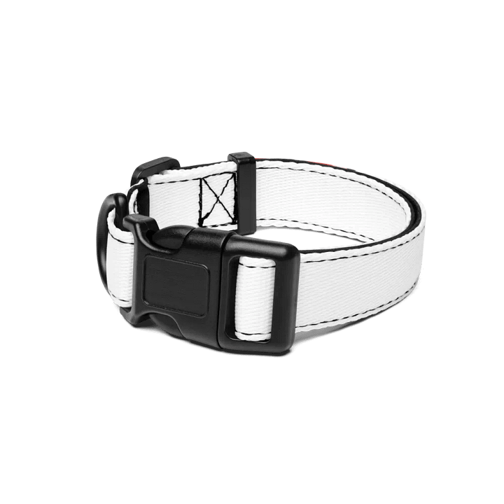 beagle product image (1)