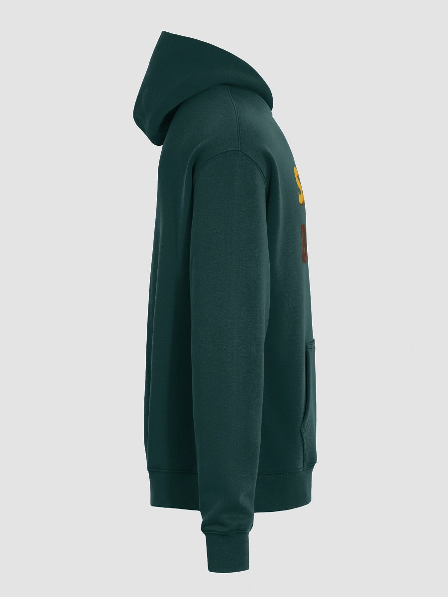 Bee Conservation Oversized Hoodie product image (20)