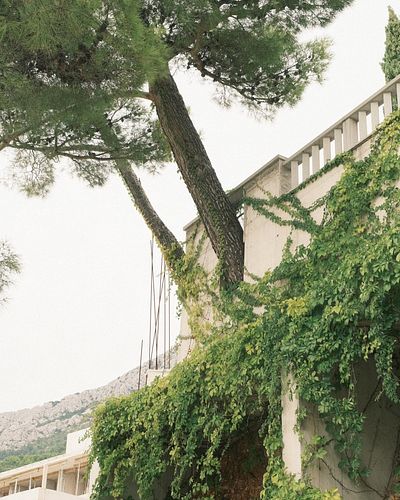 Brela, pine tree heaven.
.
.
#softminimalism #portra400 #landscapearchitecture #35mm #architecturephotographer #fujifilm #fuj...