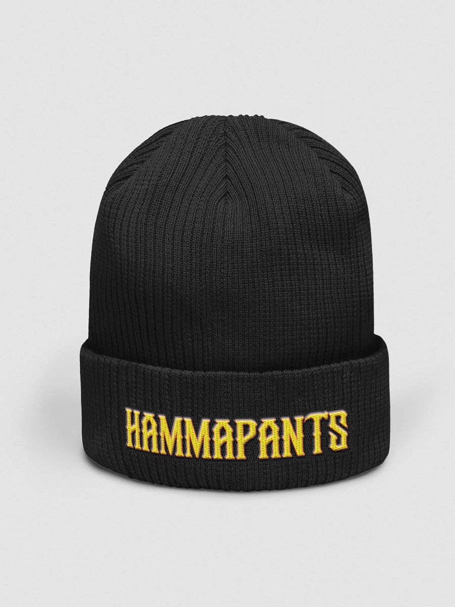 Hammapants Fitted Beanie product image (1)
