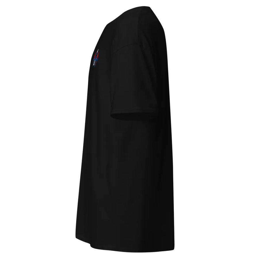 Embroidered Theoatrix Shirt product image (6)