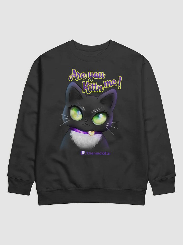 Are you kittn me sweatshirt2 product image (1)