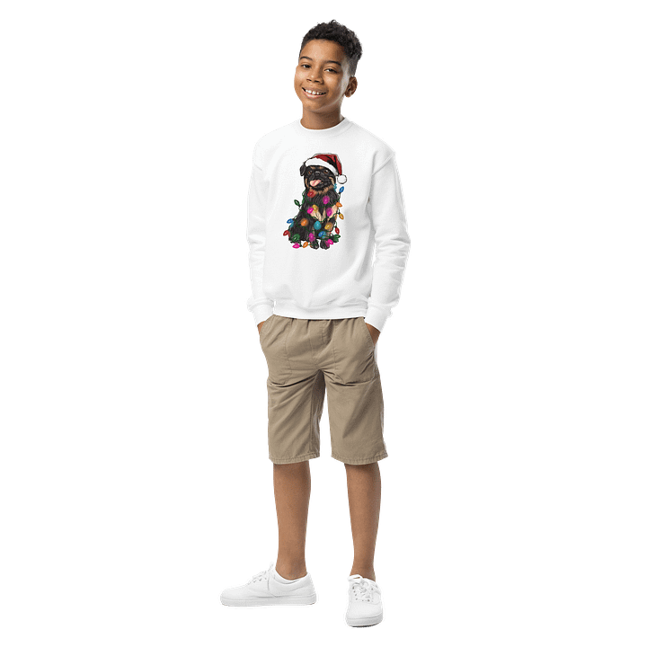 Funny Christmas Brussels Griffon(Black & Tan) Youth Sweatshirt product image (6)