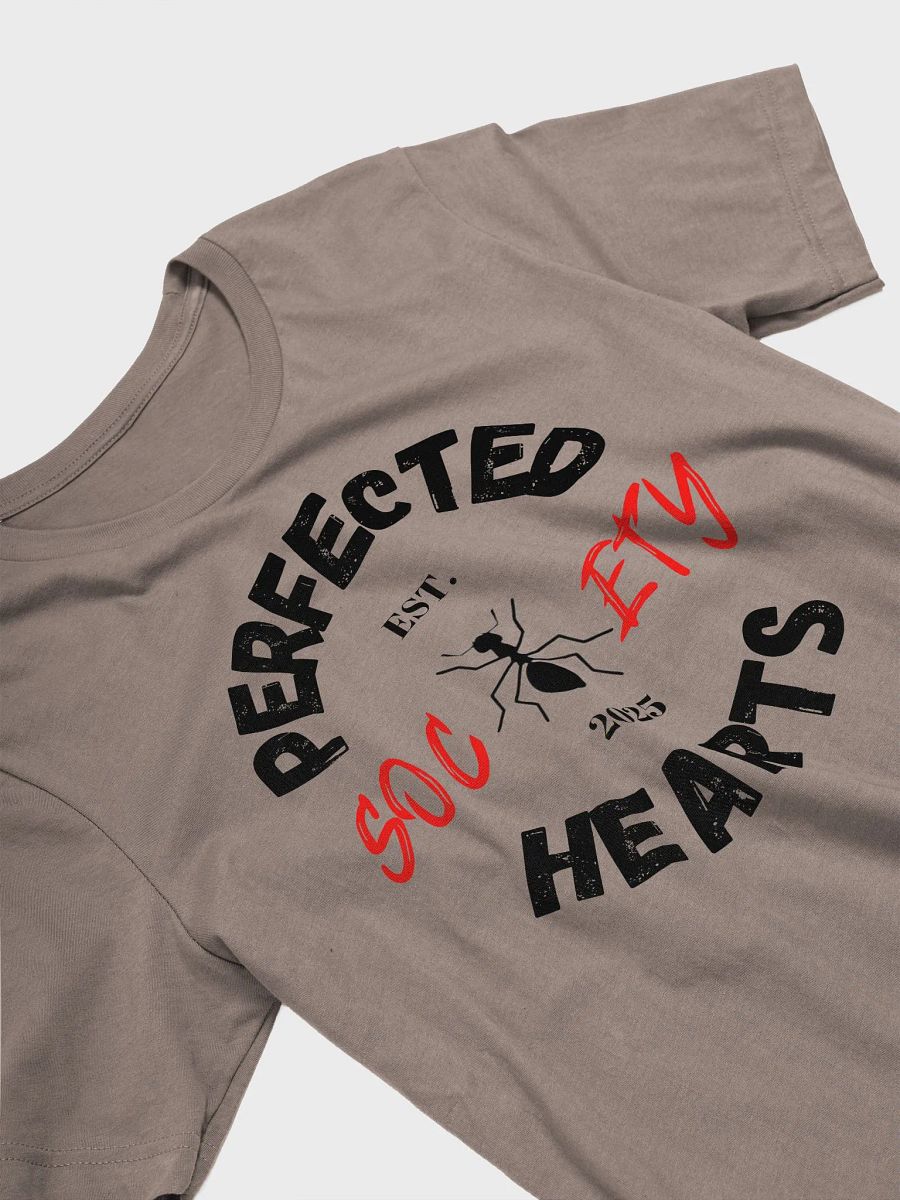 PHS Joshua 23:9-11 Scripture Tee product image (3)