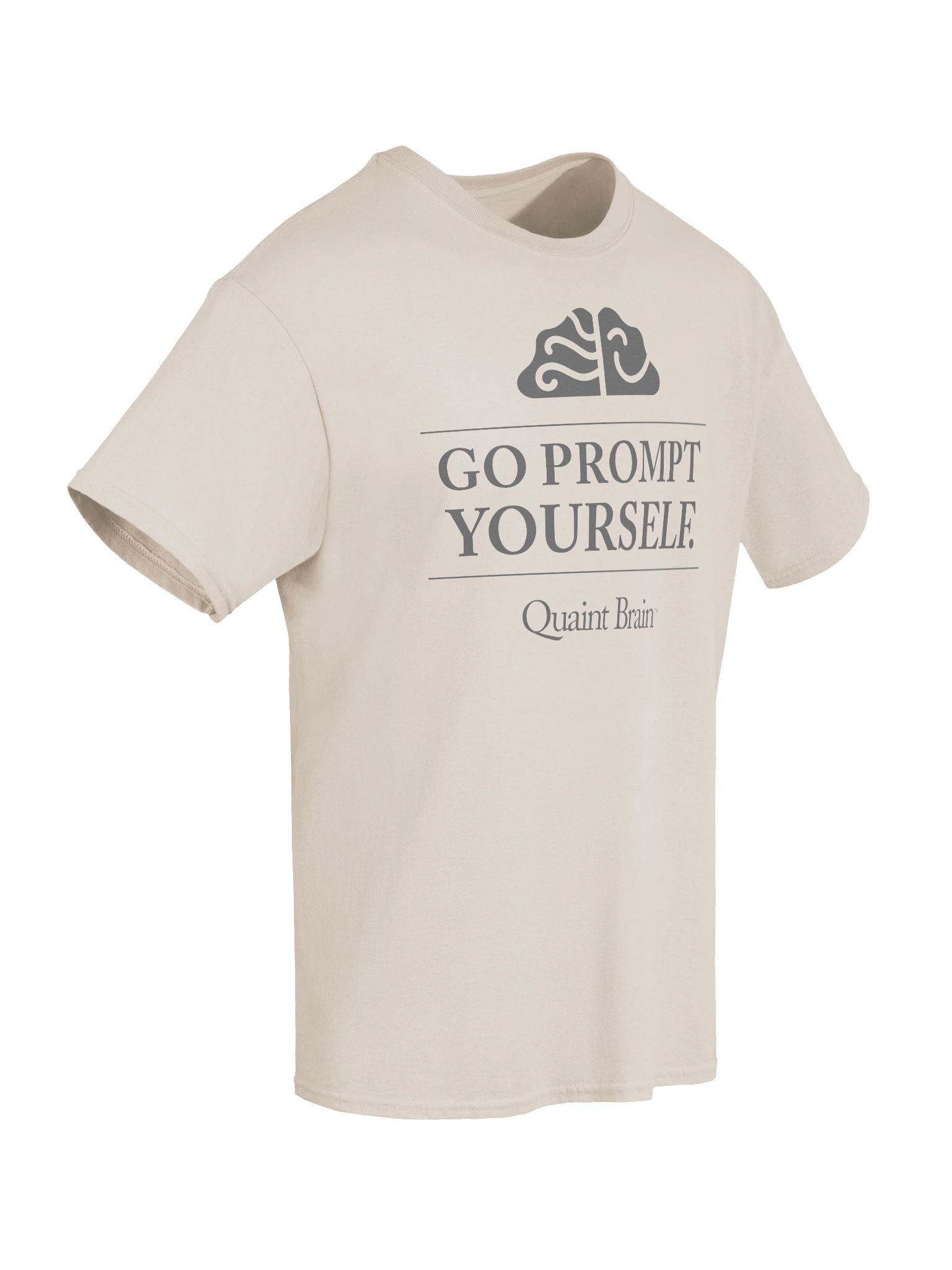 Quaint Brain™ Go Prompt Yourself Heavyweight Cotton Tee product image (6)