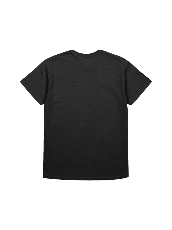 Got Out of Bed Today Unisex Tee (Sizing Inclusive Option) product image (13)