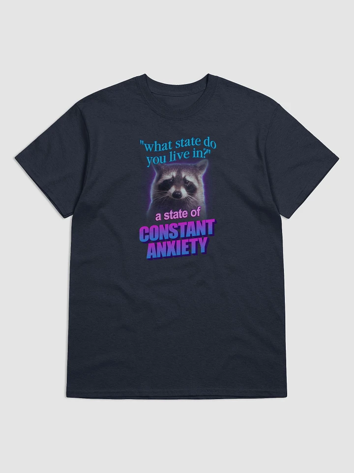 What state do you live in? A state of constant anxiety raccoon T-shirt product image (1)