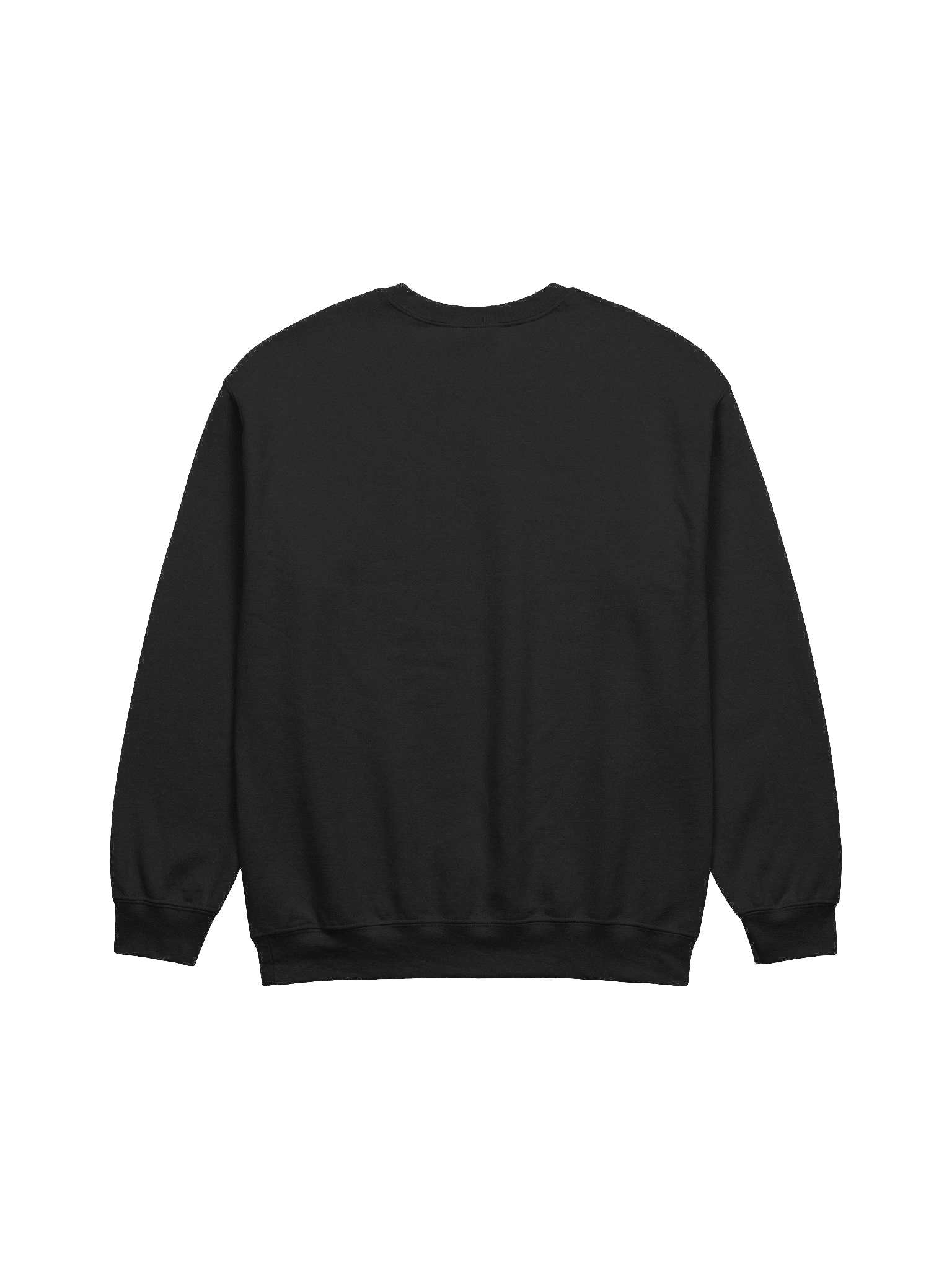 4 Layer Signature Embroidered Sweatshirt product image (2)