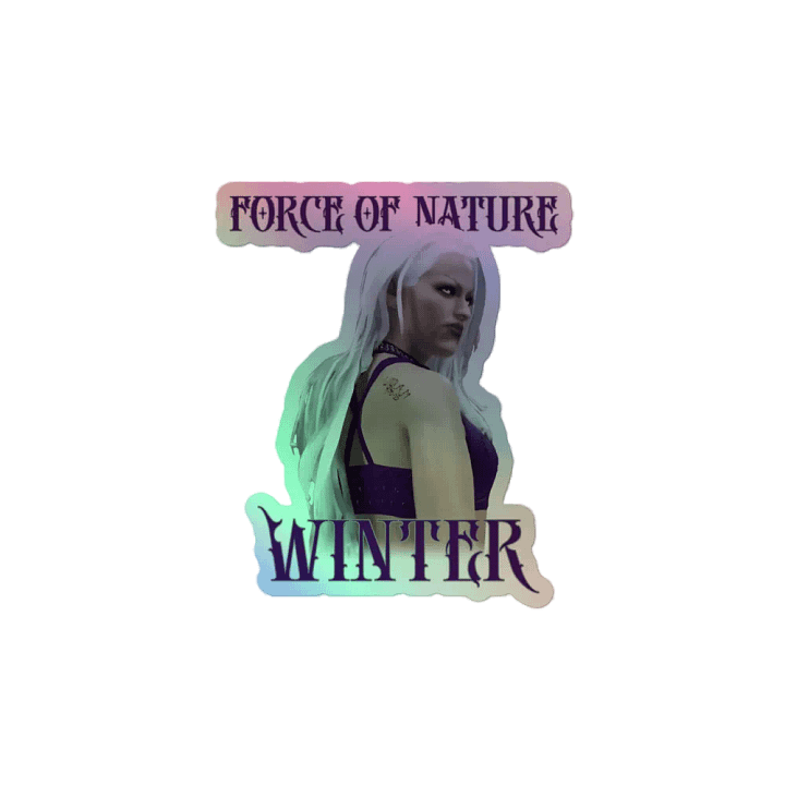 BTW Winter holographic stickers product image (2)