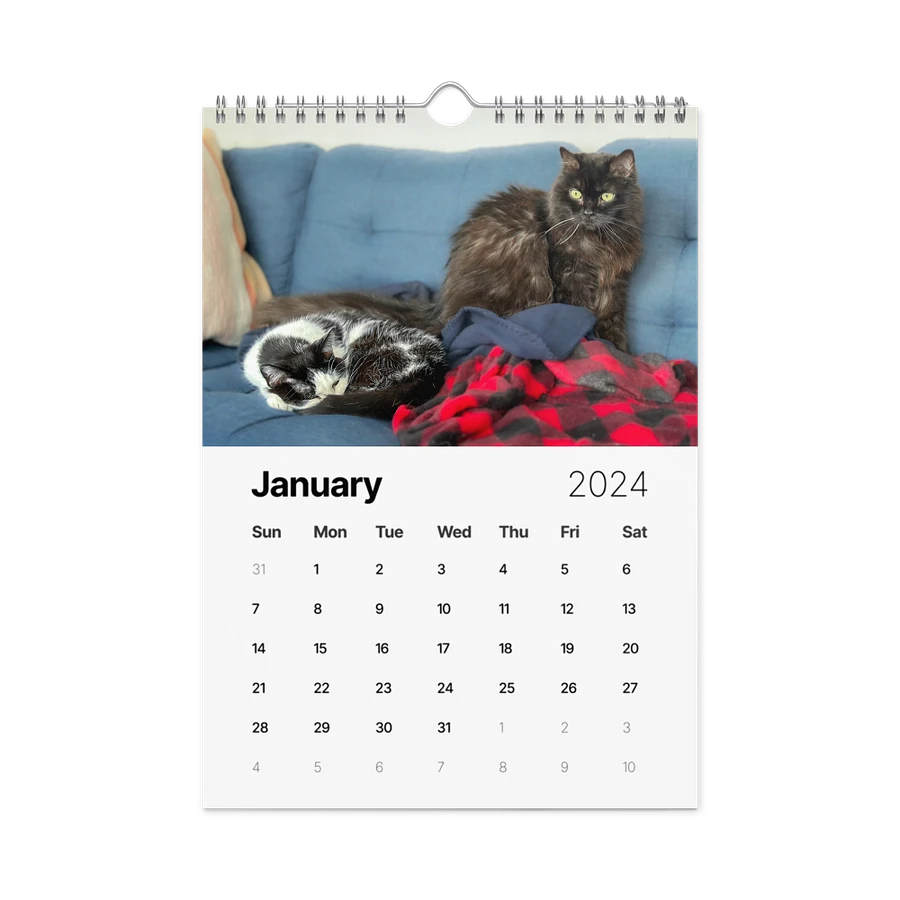 The 2024 ShoKo Cat Calendar product image (8)